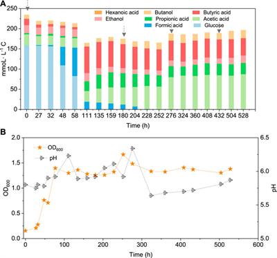 Effect of Endogenous and Exogenous Butyric Acid on Butanol Production From CO by Enriched Clostridia